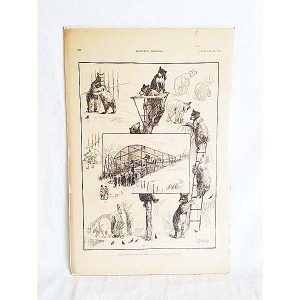 Church Bear Pit Sketch Wal Art Print 1