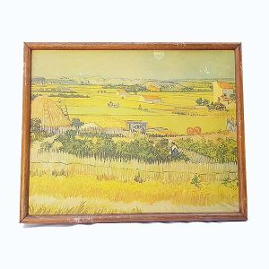 Hayfields Wall Picture