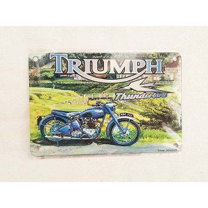 Triumph Thunderbird License Plate 1