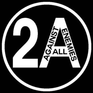 2A Second Amendment Against All Enemies Decal no back wonb