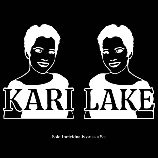 Kari Lake Decal WonB